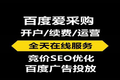 SEM推广案例：从无到有的转变